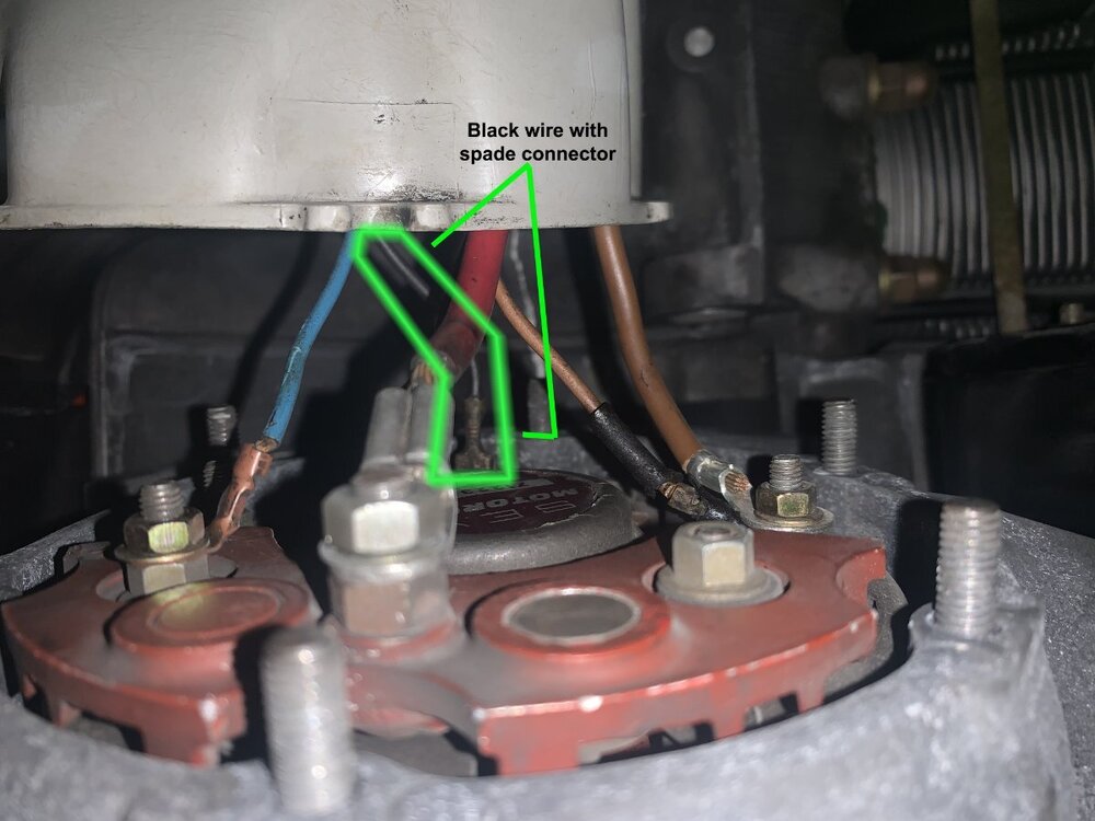 Black wire.jpg